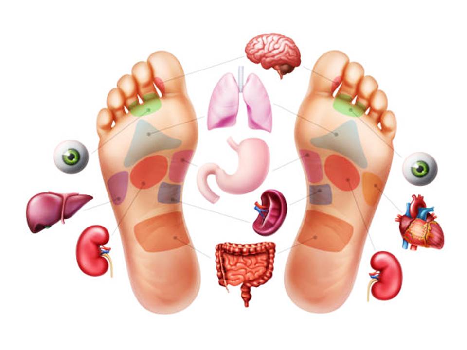 Therapeutic Reflexology & Nutrition – Medical South Africa